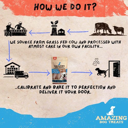 Amazing Dog Treats - Bully Sticks 6 Inch Regular Size (15 Pcs/Pack) - Premium Bully Stick Dog Chews - Long Lasting Bully Sticks for Dogs - Bully Stick Dog Bones - No Hide Dog Chew