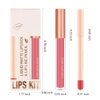 BINGBRUSH Colors Liquid Matte Lipstick and Lipliner Pack Set, Lip Tint Long Lasting 24 Hour Waterproof Velvet Nonstick Cup Lipgloss Lip Stain Pigmented Lip Makeup Gift Sets (1Pc 06#)