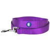 Blueberry Pet Essentials 21 Colors Durable Classic Dog Leash 5 ft x 5/8", Dark Orchid, Small, Basic Nylon Leashes for Dogs