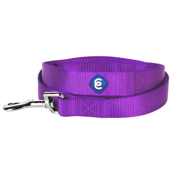 Blueberry Pet Essentials 21 Colors Durable Classic Dog Leash 5 ft x 5/8", Dark Orchid, Small, Basic Nylon Leashes for Dogs