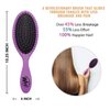 Wet Brush Detangling Hair Brush - Purple - 2 Pack Detangler - Comb for Women, Men & Kids - Wet or Dry – Removes Knots and Tangles, Best for Natural, Straight, Thick & Curly Hair – Pain Free