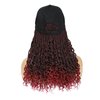 AliRobam Hat Wigs Baseball Cap with Boho Senegalese Twist Braids Hair extensions Hat With Braided Hair attached for Black White woman (14inch, TBug)