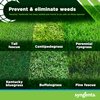 Syngenta Tenacity Herbicide - Pre-Emergent and Post-Emergent Weed Control, 8-oz. Liquid Weed Killer for Lawns and Turf Grasses, Active Ingredient Mesotrione Herbicide