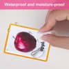 Fruits/Vegetable/Foods/Food Quantities Flash Cards English Flash Cards Pocket Card Learning Toys for Children Pre-Kindergarten Kids Education Aids