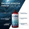 Living Silica Collagen Booster Liquid | Vegan Collagen Boosting Drink | Supports Healthy Collagen and Elastin Production for Joint & Bone Support, Glowing Skin, Strong Hair & Nails. 16.9 oz
