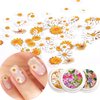 BELICEY 300Pcs Flower Nails Charm Wood Pulp 3D Flower Nail Charms Butterfly Acrylic Nails Accessories for Nail Art Decoration & DIY Crafting Design Flower Nail Charms Glitter Clear Bow Butterfly Nail