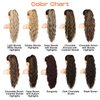 SEIKEA 26" Highlight Ponytail Extension，PT003 Eva Long Drawstring Ponytail Wavy Clip in Hair Extensions Ponytail Natural Soft Synthetic Hairpiece for Women Chocolate Brown with Blonde Highlights