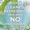 Garnier Whole Blends Coconut Water & Aloe Vera Refreshing Conditioner for Normal Hair, 26.6 Fl Oz, 1 Count (Packaging May Vary)