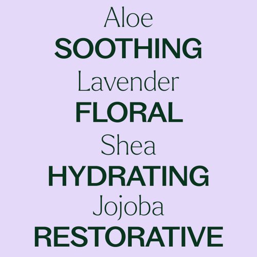 Plant Therapy Lavender Body Lotion with Aloe and Shea, Hydrate and Nourish Skin with Botanical Ingredients, 8 oz
