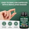 Sea Moss Black Seed Oil Ashwagandha Ginger, Organic Sea Moss Capsules with Burdock Root, Irish Seamoss Pills with Bladderwrack, Turmeric, Shilajit, Multimineral Supplement, USA (120 Capsules)