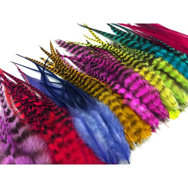 50 Pieces - Colorful Thick Short Whiting Farm Rooster Hair Extension Wholesale Feathers (Bulk) Jewelry Fly Tying Craft Supply | Moonlight Feather