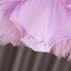 Dressy Daisy Princess Ballet Tutu Dress Fancy Dance Wear Ballerina Costume Outfit Dancewear for Little Girls Size 7-8 Purple 074