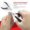 Seki Edge Stainless Steel Nail Scissors (SS-205)
