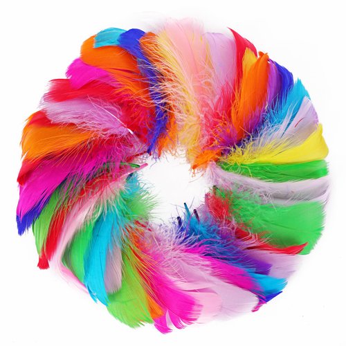 Coceca 300pcs 3-5 Inches Colorful Feathers for DIY Craft Wedding Home Party Decorations
