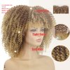 KEAT Short Afro Curly Wigs for Black Women, Brown Blonde Kinky Curly Fluffy Hair Wig with Bangs, Cute Fashion Natural Looking Heat Resistant Full Synthetic Wig for Daily Party K011BR