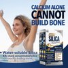 LABO Nutrition Bioactive Silica, 99% Purity Rice-Derived Silica with 42mg Silicon Per Serving, Intensive Collagen Generator, Strengthen Joint & Bone, for Skin, Hair & Nails Support. 30sx3