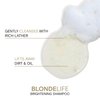 Joico Blonde Life Brightening Shampoo | For Blonde Hair | Add Softness & Smoothness | Sulfate Free | With Monoi & Tamanu Oil | 10.1 Fl Oz