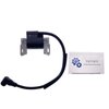 PARTSRUN Ignition Coil for Briggs & Stratton 591420 Magneto Armature 440-409 Solid State Module Replaces Briggs & Stratton 591420 799285 793352 792594 ZF-IG-A00058-P