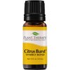 Plant Therapy Citrus Burst Synergy Essential Oil Blend 10 mL (1/3 oz) 100% Pure, Undiluted, Therapeutic Grade