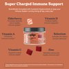 CHEWSY 6-in-1 Immune Support Supplement Fruity Chews with Elderberry, Vitamin C, A & D, Zinc & Selenium - 30-Day Supply, Individually Wrapped Immunity Vitamins Chews for Adults and Kids (1)
