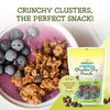 Jessica’s Natural Foods - Gluten-Free Chocolate Chip Granola, made with rich chocolate chips, Non-GMO, no artificial flavors or preservatives, 11oz (Pack of 3)