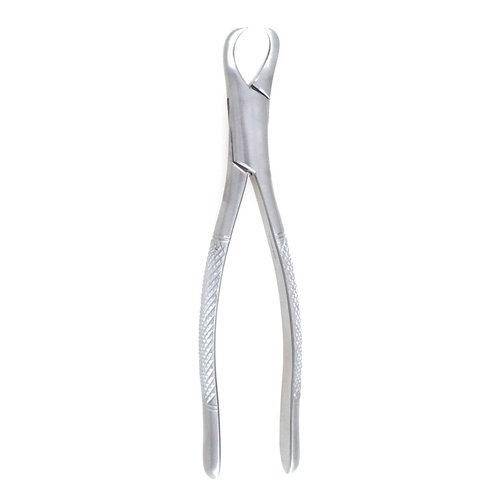 23 Cow Horn Dental Forceps - SurgicalExcel 86-023