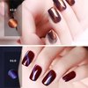 Gsnagole Gel Nail Polish Kit - Cat Eye Magnetic Gel Nail Polish Set, UV LED Soak Off Nail Art Varnish, Manicure Gift Set (Includes Magnet, 10ml per Bottle). (LLMY-1-6)