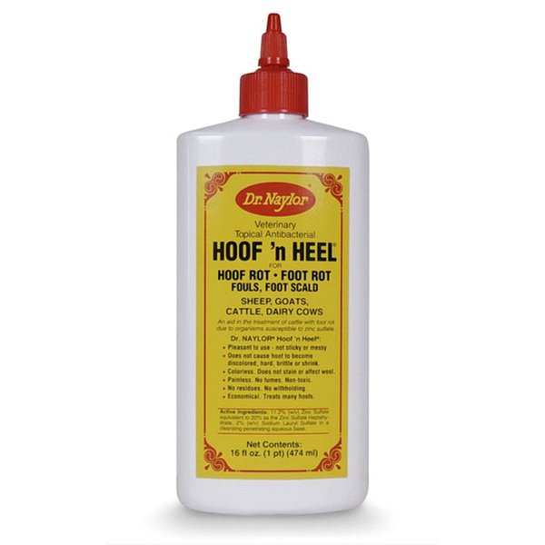 Dr. Naylor Hoof n' Heel (16 oz.) - Traditional Foot Rot Treatment