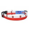 Poland Dog Collar | Poland Flag | Quick-Release Buckle | Made in NJ, USA | for Small Dogs