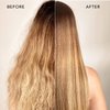 Keratin Perfect-Color Smoothing Shampoo - Anti Frizz - Salon Quality - Adds Moisture - luminous shine - Safe Formula - Use With or Without Keratin Treatment - 12 Oz