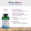 Purity Products OmegaBerry Fish Oil with Vitamin D3 and Organic Acai - 1250mg Concentrated Molecularly Distilled Ultra Pure Omega-3 Fish Oil, 500mg DHA + 650mg EPA - 60 Soft Gels - 30 Day Supply from