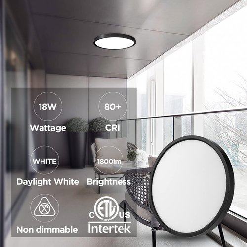 TALOYA LED Flush Mount Ceiling Light Fixture, 18W (180W Incandescent Equiv.),8.9 Inch,Low Profile,Slim Black Ceiling Lamp for Closets,Stairwells, Day Light,ETL Listed,Non-DIMMABLE