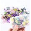 XICHEN 100 PCS Hydrangea Petals of Dry Flowers Nail Art Stickers Natural Nail Supplies Curved Tweezers with Professional