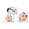 12PCS Women's Grils Hawaiian Plumeria Flower Hair Clips Wedding Bridal Decoration Hairpin Barrette Hair Accessories For Party Beach Holiday (pink)