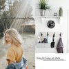 MOODKEY 2PCS Curved Vented Hair Brush Boar Bristle Hair Brushes Paddle Detangling Brush Professional Styling Hairbrushes Detangler for Women/Men/Kids Wet Dry Thick Curly Straight Hair (Gold+Black)