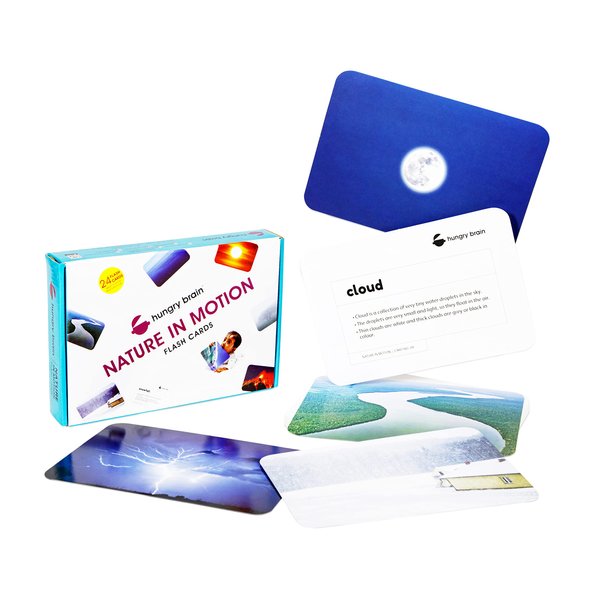 hungry brain Nature in Motion Flash Cards for Babies and Infants for Early Learning & Stimulation Flash Card l Age 8 Months to 4 Years Babies l Gift for Toddlers Kids | Real Images Flash Cards