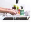 MRS. MEYER'S CLEAN DAY Liquid Hand Soap in Basil Scent, 12.5 ounce bottle (2 Bottles)