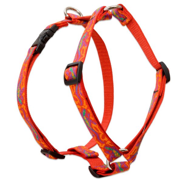 LupinePet Originals 3/4" Go Go Gecko 14-24" Adjustable Roman Dog Harness for Medium Dogs