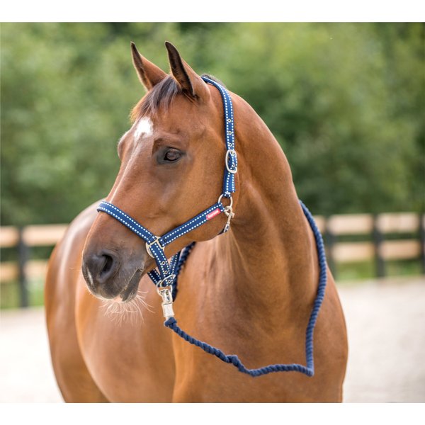 Horze Cooper Halter with Lead Rope - Peacoat Dark Blue - Horse