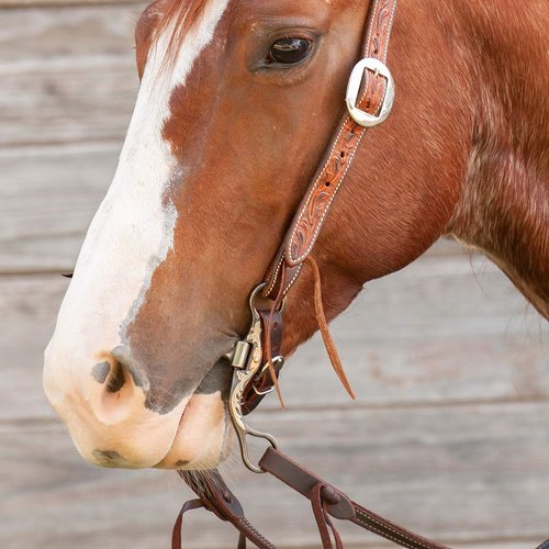 Classic Equine Floral Scroll Tool Box Straight Shank Bit with Short Correction, 6-inch