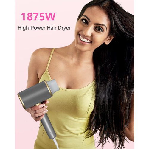 Professional Ionic Hair Dryer Blow Dryer 1875W with Diffuser and Concentrator, Constant Temperature Hair Care,Fast Drying Low Noise for Home Salon Travel (Space Silver)