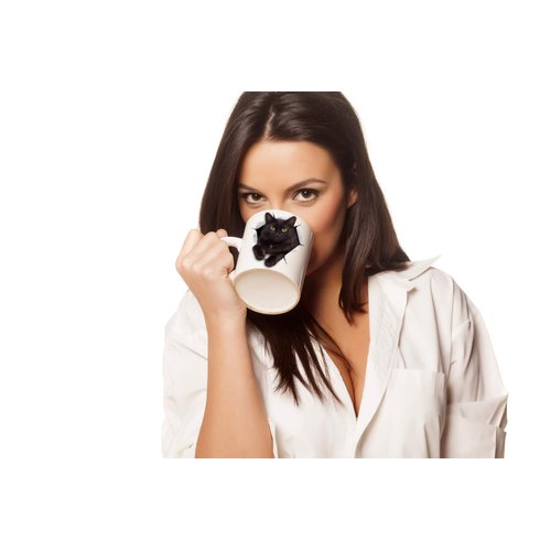 Black Cat Coffee Mug - Ceramic Funny Coffee Mug - Perfect Cat Lover Gift - Cute Cat Coffee Mugs Present - Great Birthday or Christmas Surprise for Friend or Coworker, Men and Women (11oz)