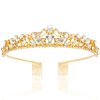 TOBATOBA Wedding Tiaras for Bride, Gold Tiaras and Crowns for Women, Princess Tiara Rhinestone Bridal Tiara, Small Tiara, Quinceanera Tiara Birthday Pageant Wedding Halloween Costumes