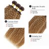 20 22 24 Inch T4/27 Bundles Human Hair Ombre Kinky Curly Bundles Honey Blonde Human Hair Bundles 2 Tone Brown and Honey Blonde Bundles Brazilian Grade 8A Virgin Human Hair Extensions