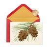 Papyrus Holiday Cards Boxed with Envelopes, Wonderful Year to Come, Pinecones (14-Count)