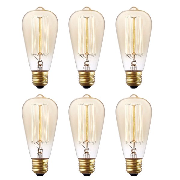 Rolay 6 Pack, 25 Watt Vintage Edison Light Bulb with Squirrel Cage Filament, 110~130 Volts, E26 Base