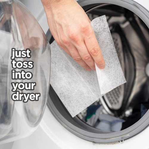 HOME VICTORY Dryer Sheets: Outdoor Scented Laundry Fabric Softener Sheets - Reduces Wrinkles - Controls Static - Softens Fabric (240 Count)