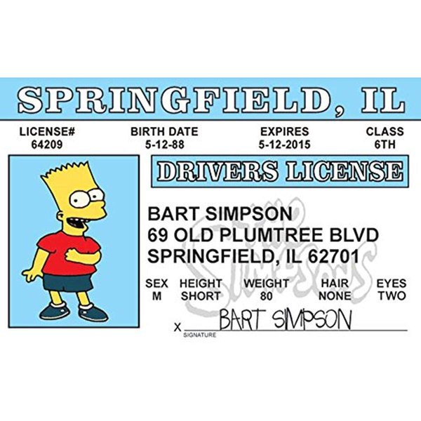 Signs 4 Fun Parody ID | Bart Driver’s License | Fake ID Novelty Card | Collectible Trading Card Driver’s License | Novelty Gift for Holidays | Made in the USA