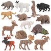 Wildlife Animal Model Playsets 14 PCS North American Animal Hedgehog Echidna Figures Figurine Family Party Favors Supplies Cake Toppers Set Toys for 5 6 7 8 Years Old Boys Girls Kids