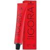 Schwarzkopf Professional Igora Royal Permanent Hair Color (with Sleek Tint Brush) (7-00 Medium Blonde Forte)